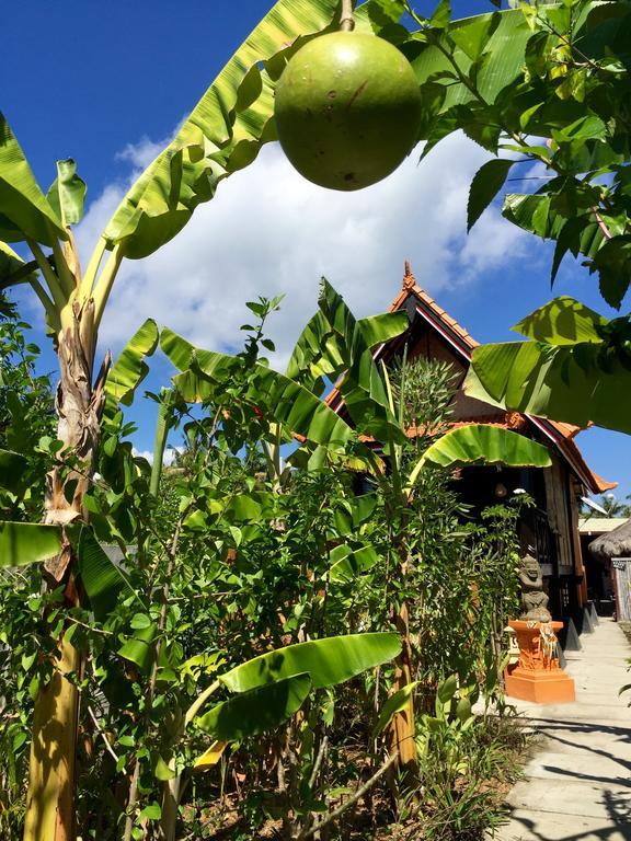 Mahogany Cottage Gili Meno Exteriér fotografie